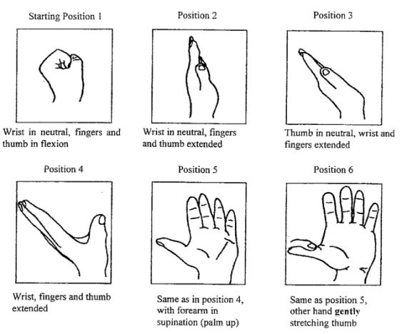 Diagram depicting various wrist positions and exercises